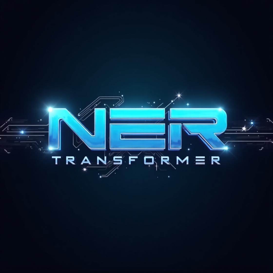 NER Transformer Screenshot